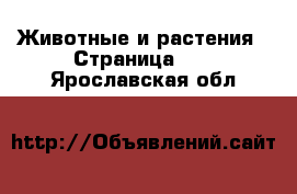  Животные и растения - Страница 12 . Ярославская обл.